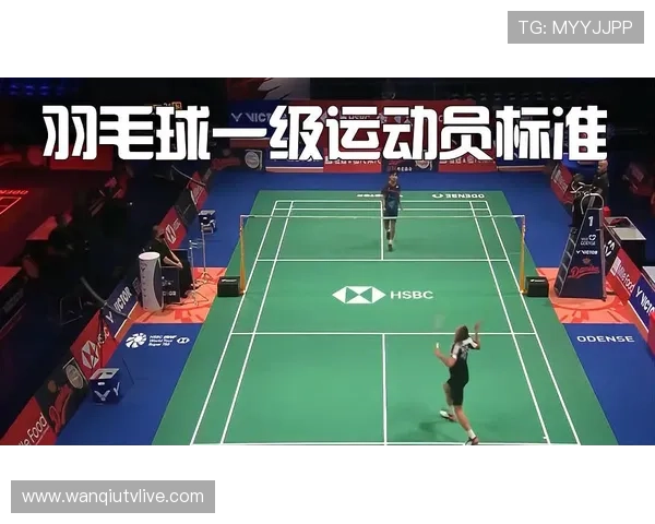 玩球让球规则平台对比评测避坑防骗指南